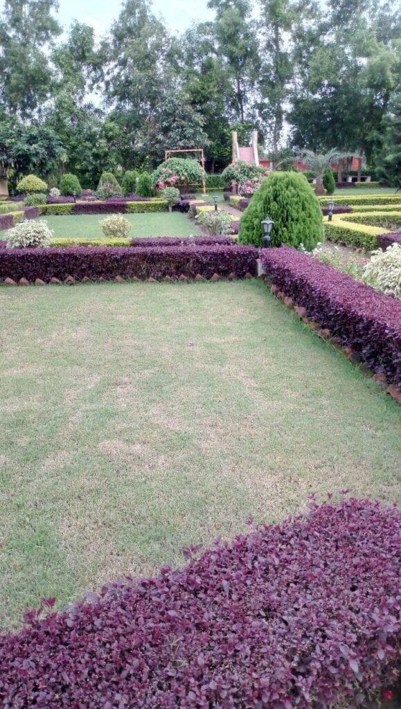 garden garden