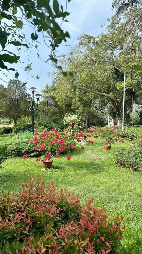 garden2 garden2